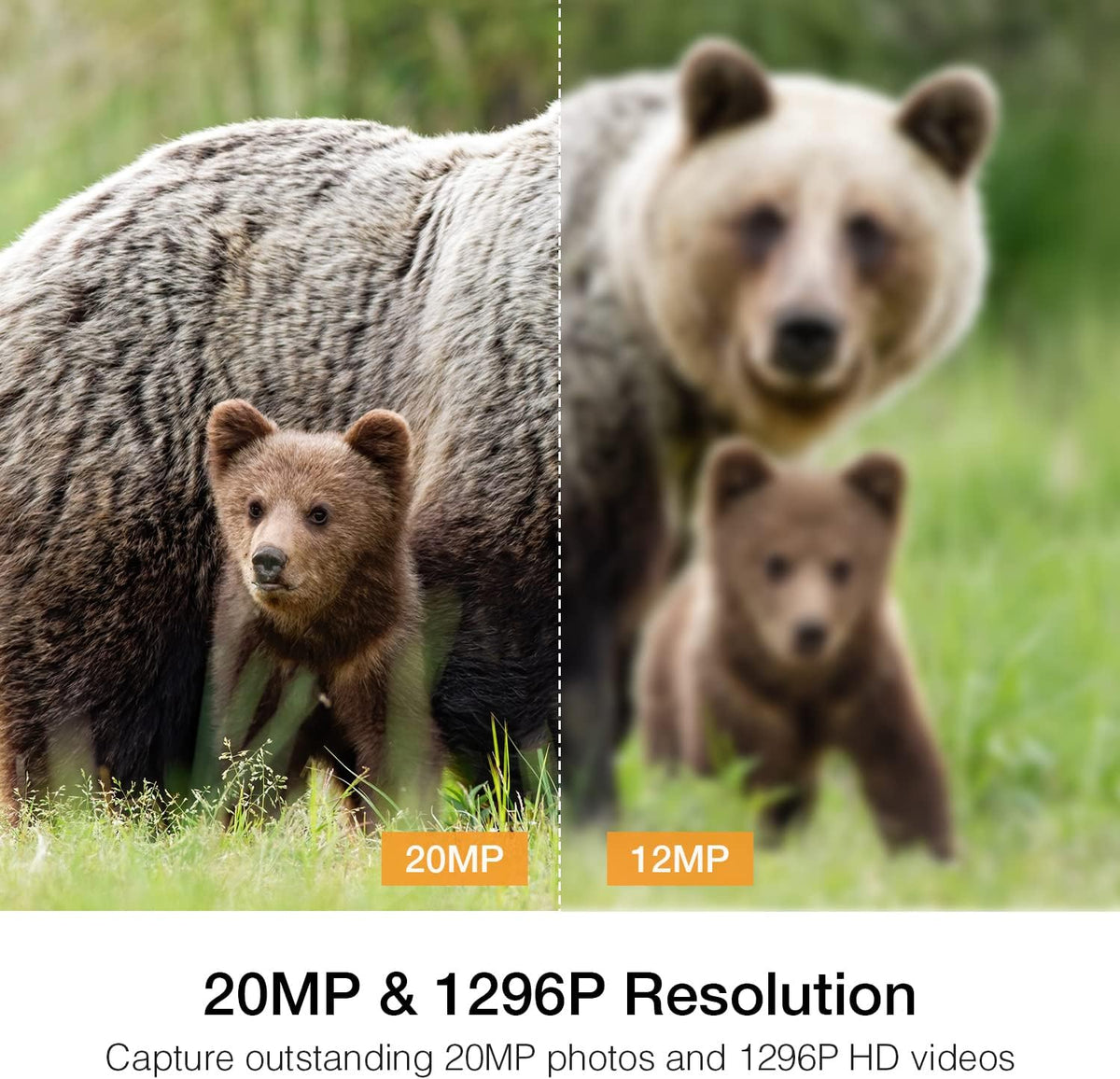 20MP 1296P WiFi Bluetooth Trail Camera with 940nm No Glow IR Night Vision Waterproof Q7380