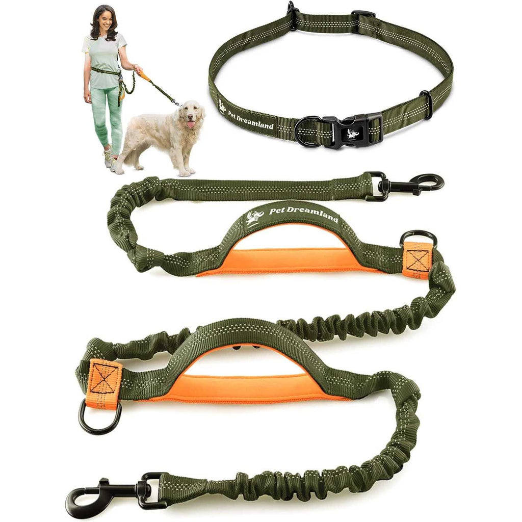 Hands Free Dog Leash S120