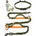 Hands Free Dog Leash S120