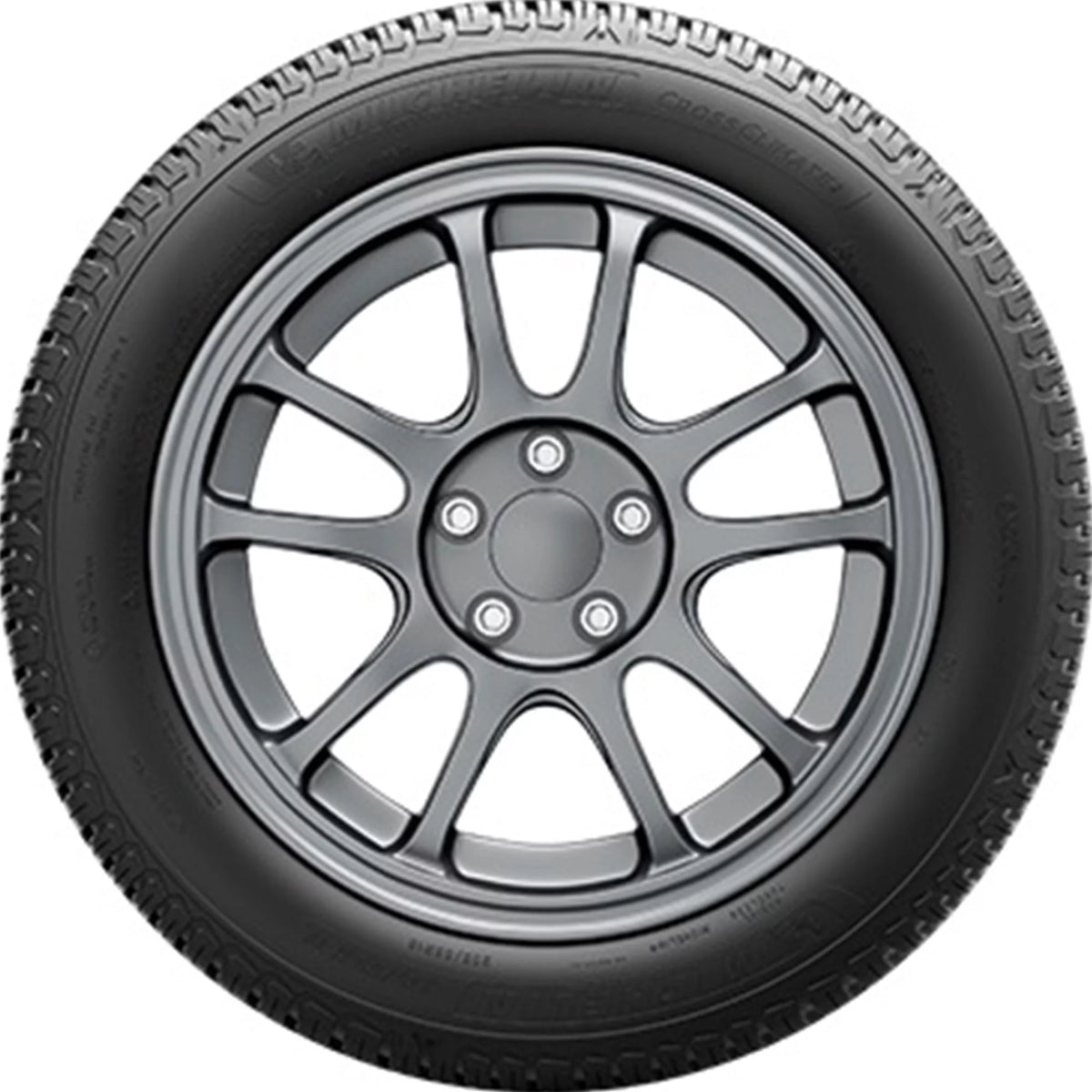 All Weather 245/50R19 105V XL Tire P5120