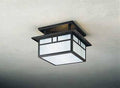 Semi-Flush Mount Light with Amber Mica R179999