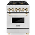 24 2.8 cu. ft. Dual Fuel Range Stainless Steel C24839