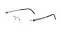 Titanium Slate Accent C82841