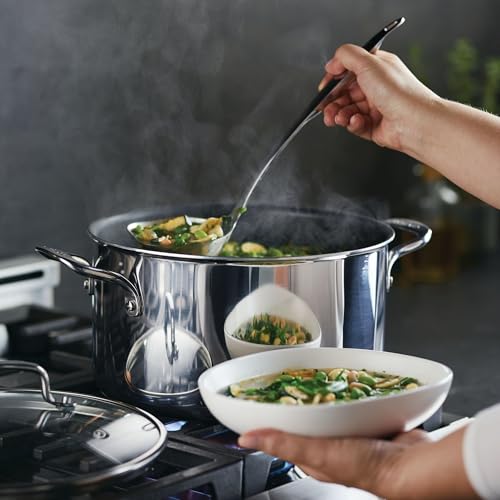 8 Quart Stainless Steel Nonstick Induction Stockpot with Lid N678
