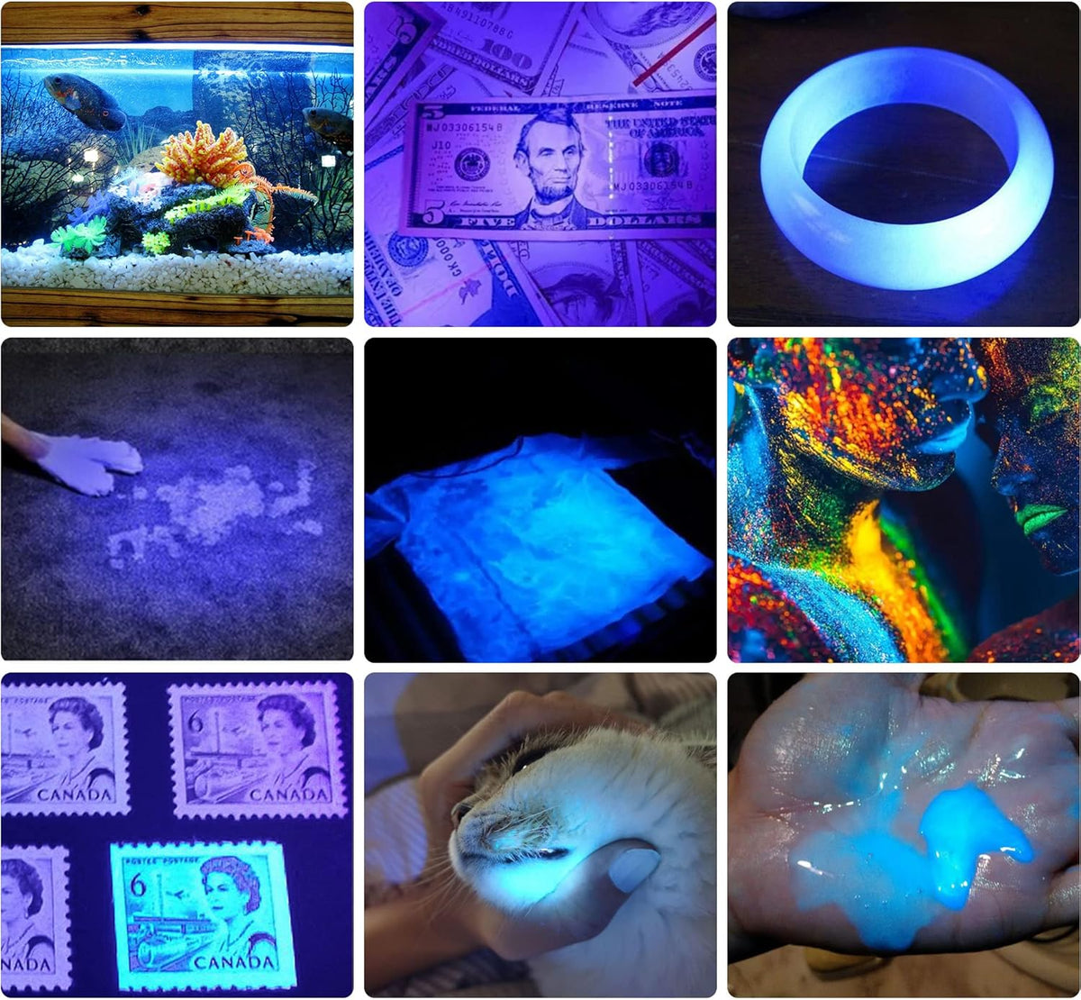 UV 365nm Blacklight LED Flashlight 2 Packs I682