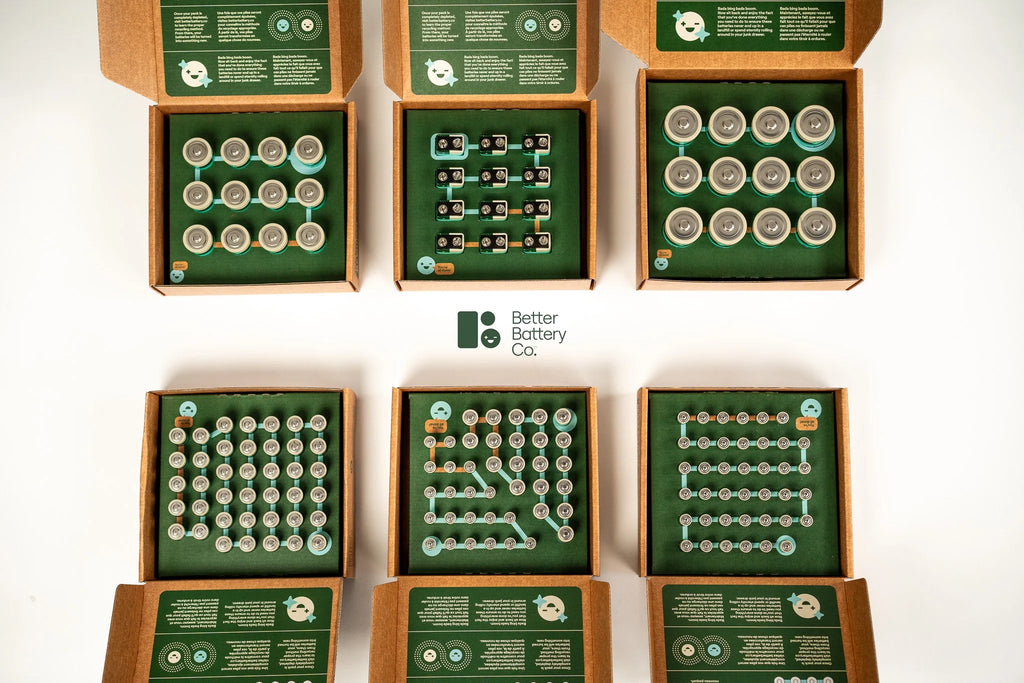 40 AA Kit AA battery with Recycling Program P300361