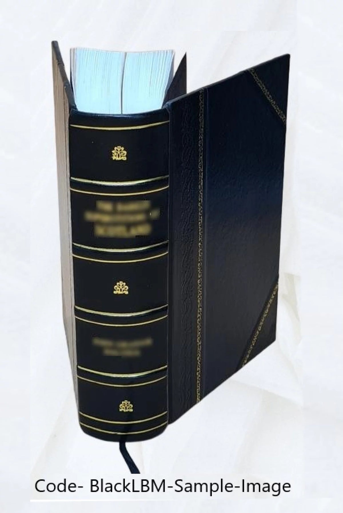 1920 Census Population Schedules Illinois Leather Bound L11260