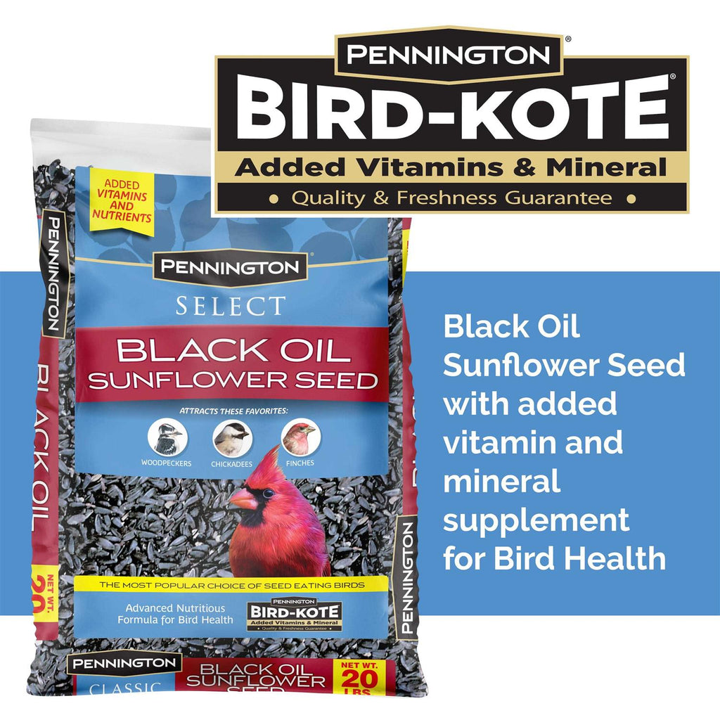 Black Oil Sunflower Seed Wild Bird Feed E3308
