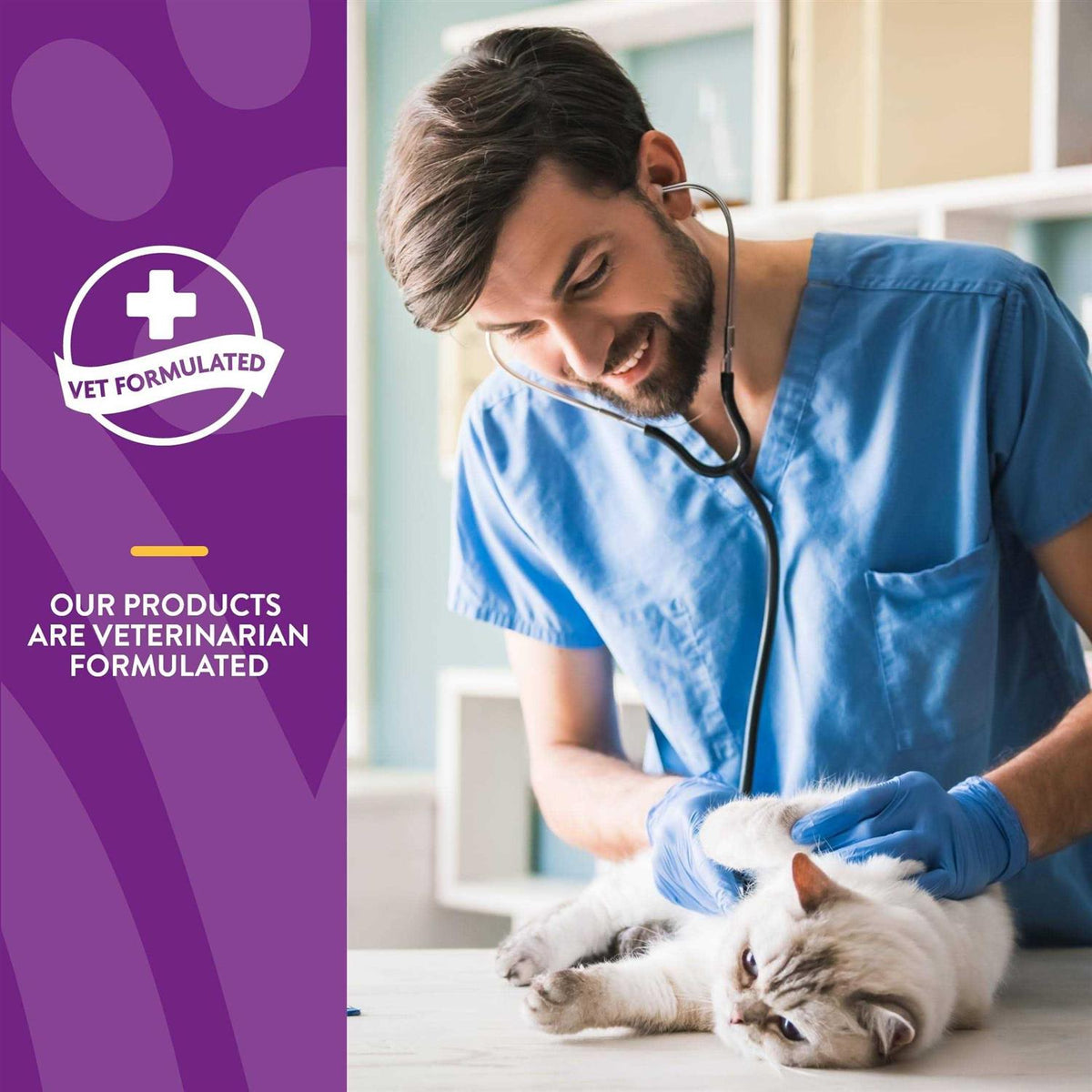 Senior Daily Vitamins Plus Glucosamine Cat Soft Chews C651