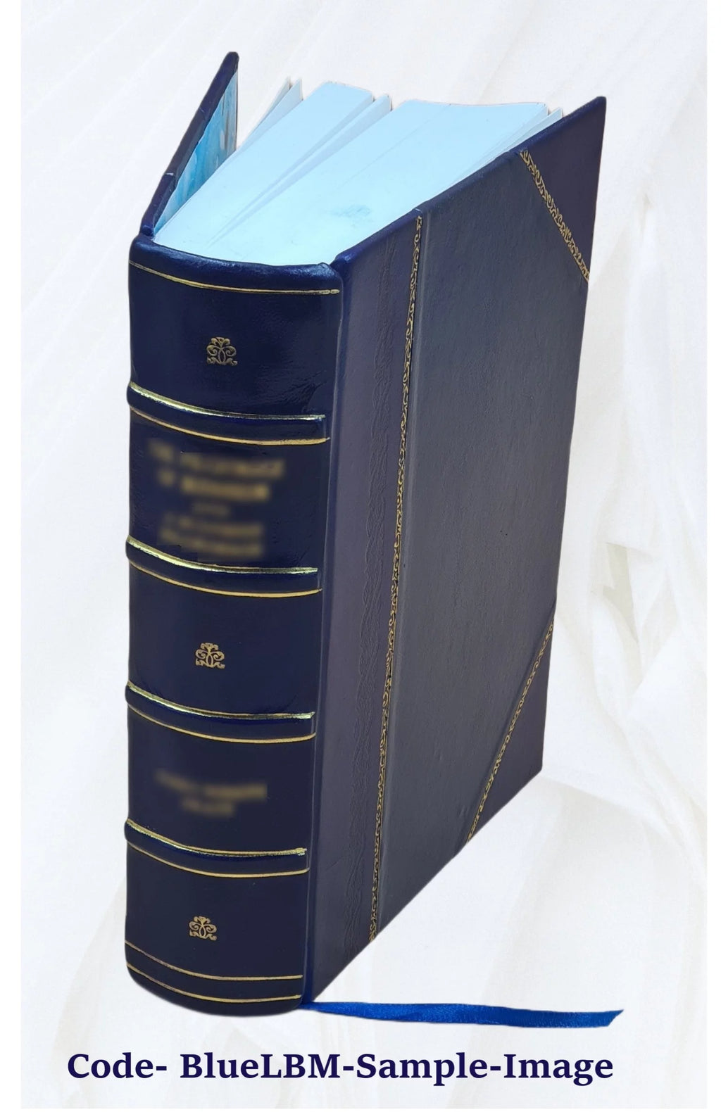 1920 Census Population Schedules Illinois Leather Bound L11260