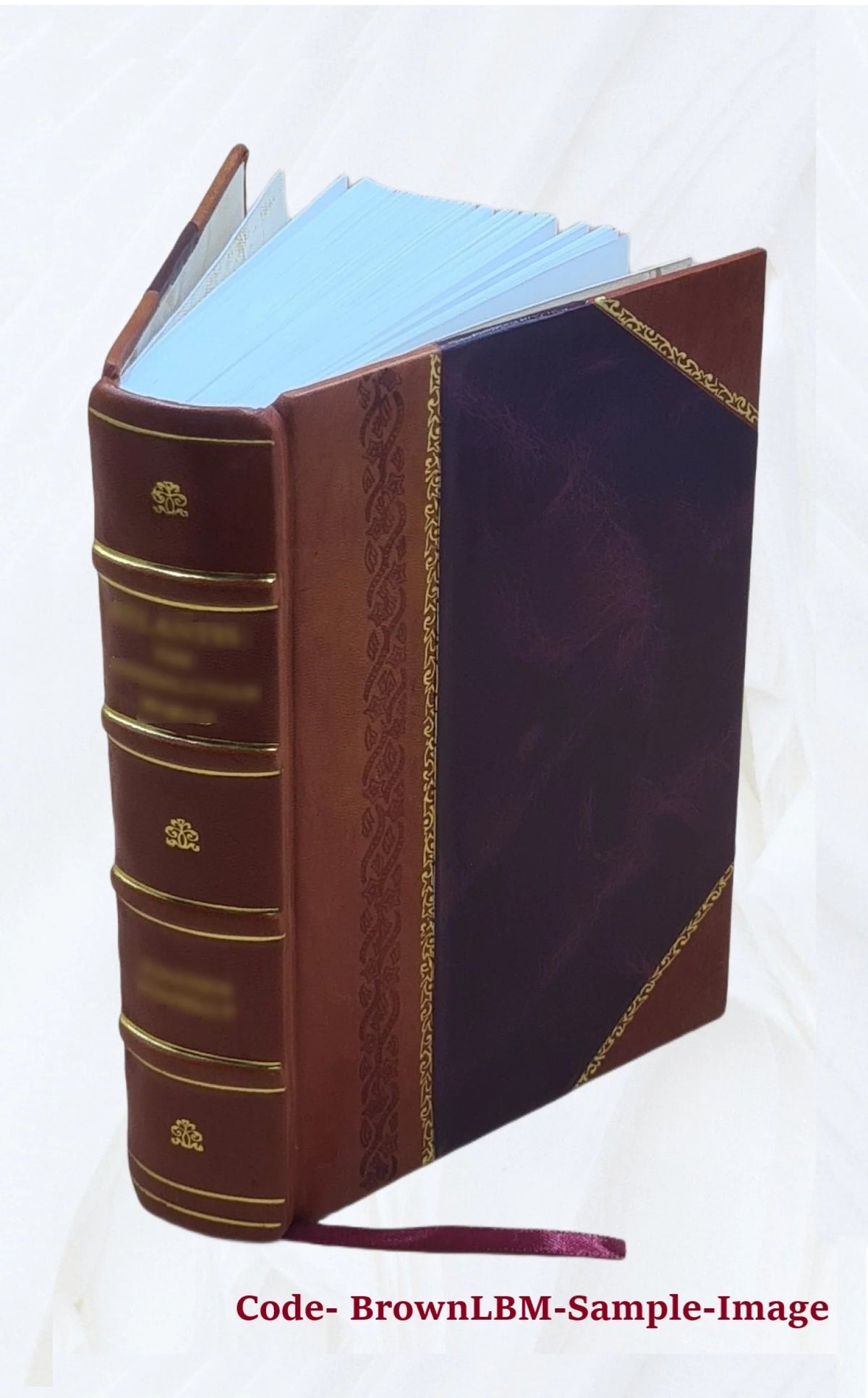 1920 Census Population Schedules Illinois Leather Bound L11260