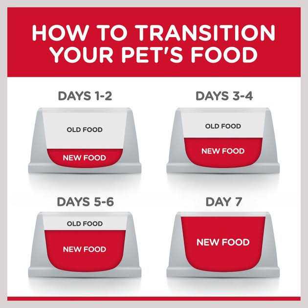 Chicken Adult 7+ Dog Food T4902