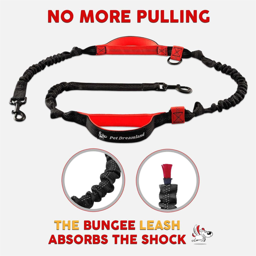 Hands Free Dog Leash S120