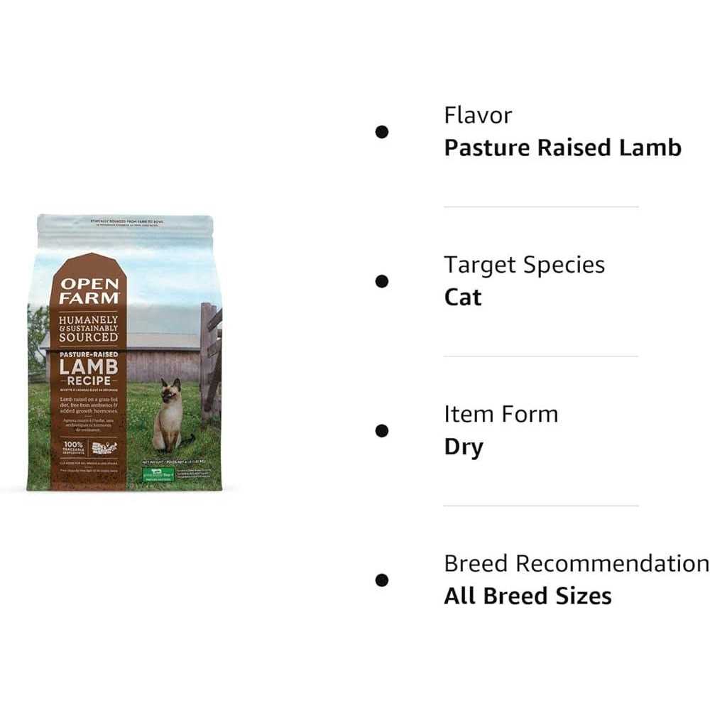 Grain Free Lamb Dry Cat Food Y95578