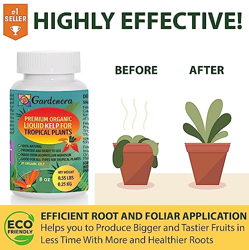 8 oz Organic Liquid Kelp Fertilizer A4625