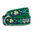 Dog Collar H197492