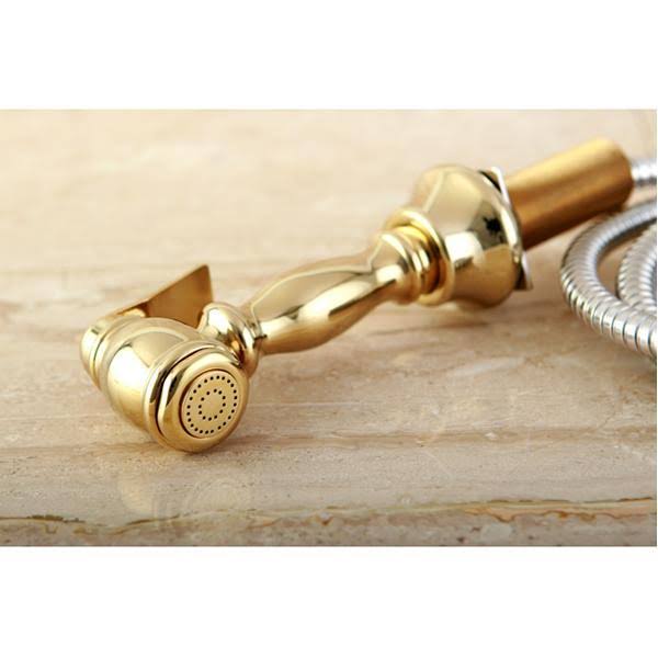 Polished Chrome Kitchen Faucet Sprayer Q66060
