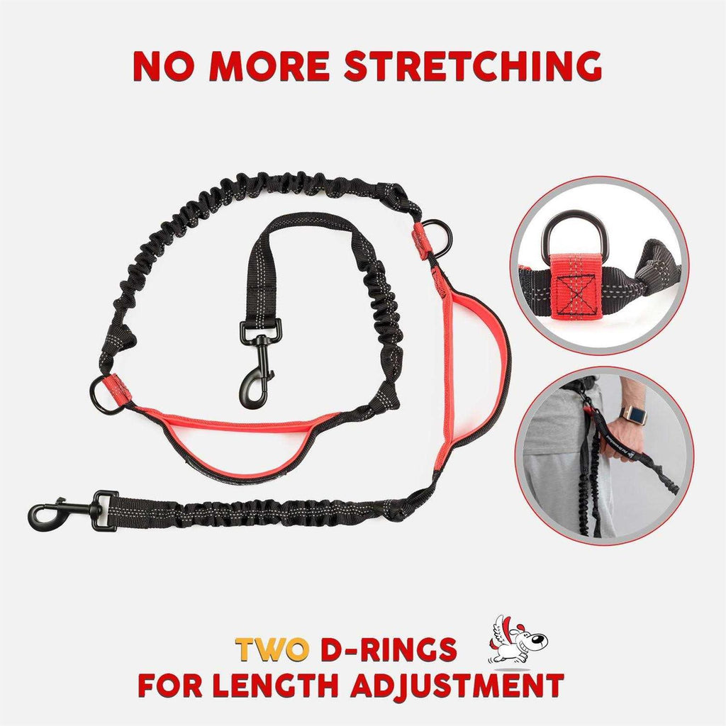 Hands Free Dog Leash S120