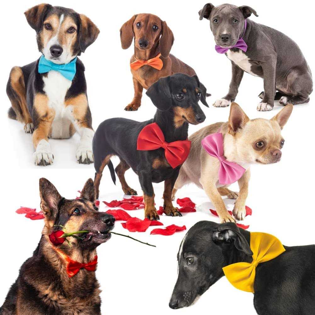 50Pcs Dog Bow Ties with Adjustable Collar G786