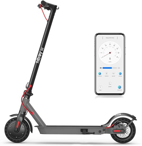 Electric Scooter with 8.5"/9" Tires, 350W Motor, 19 MPH, Double Braking System G1025