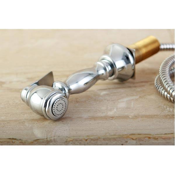 Polished Chrome Kitchen Faucet Sprayer Q66060
