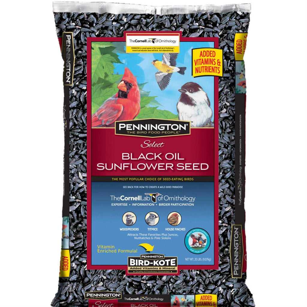 Black Oil Sunflower Seed Wild Bird Feed E3308