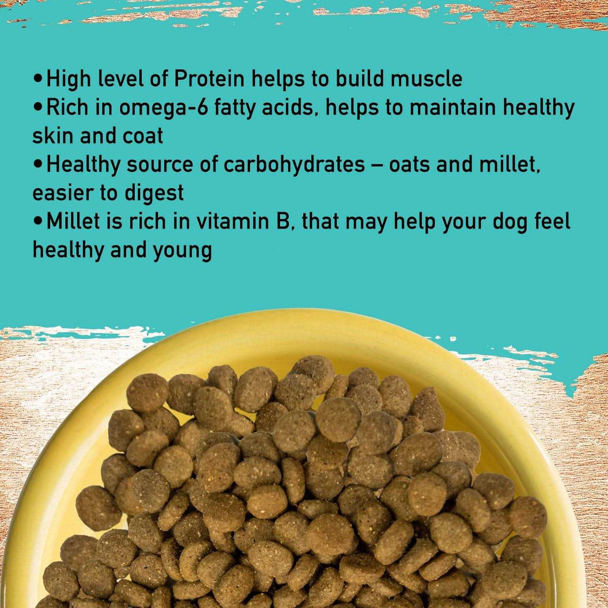 Dog Food W5829