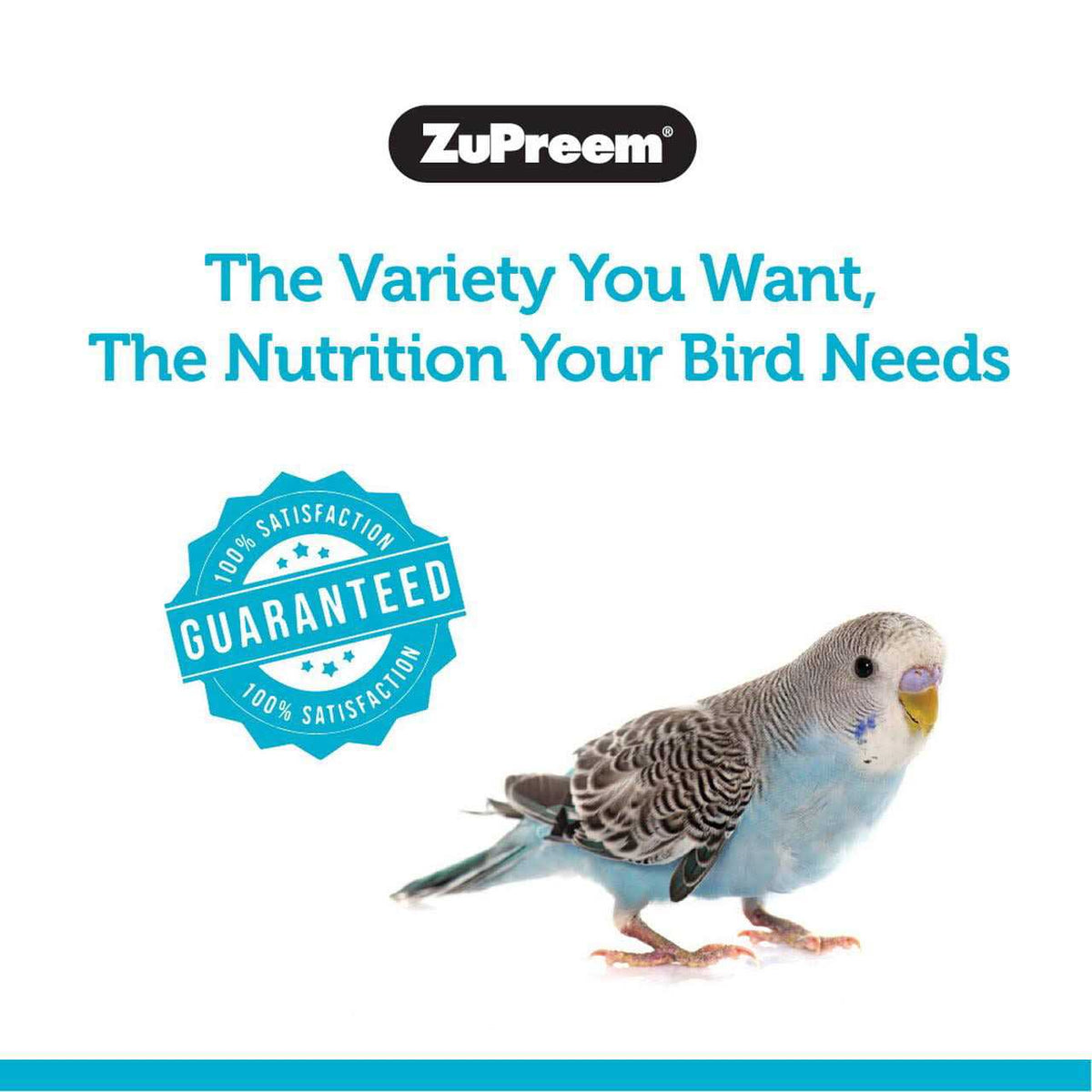 Sensible Seed Bird Food Q746