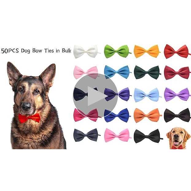50Pcs Dog Bow Ties with Adjustable Collar G786