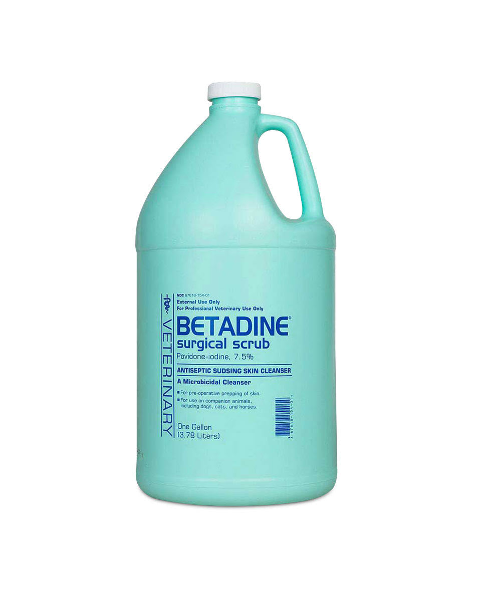 Surgical Scrub 1 Gallon Q594286