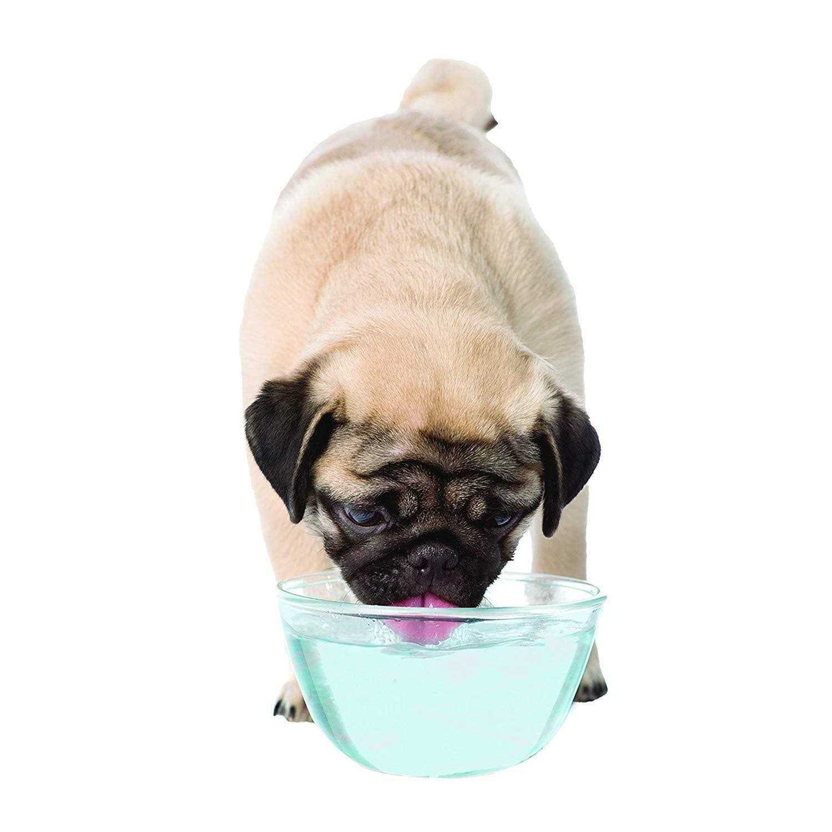 Liquid Tartar Remover Water Additive for Dogs L741728