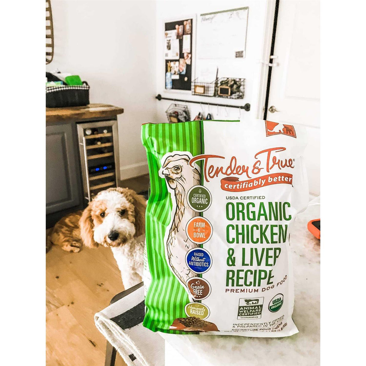 Chicken and Liver Dog Food F509