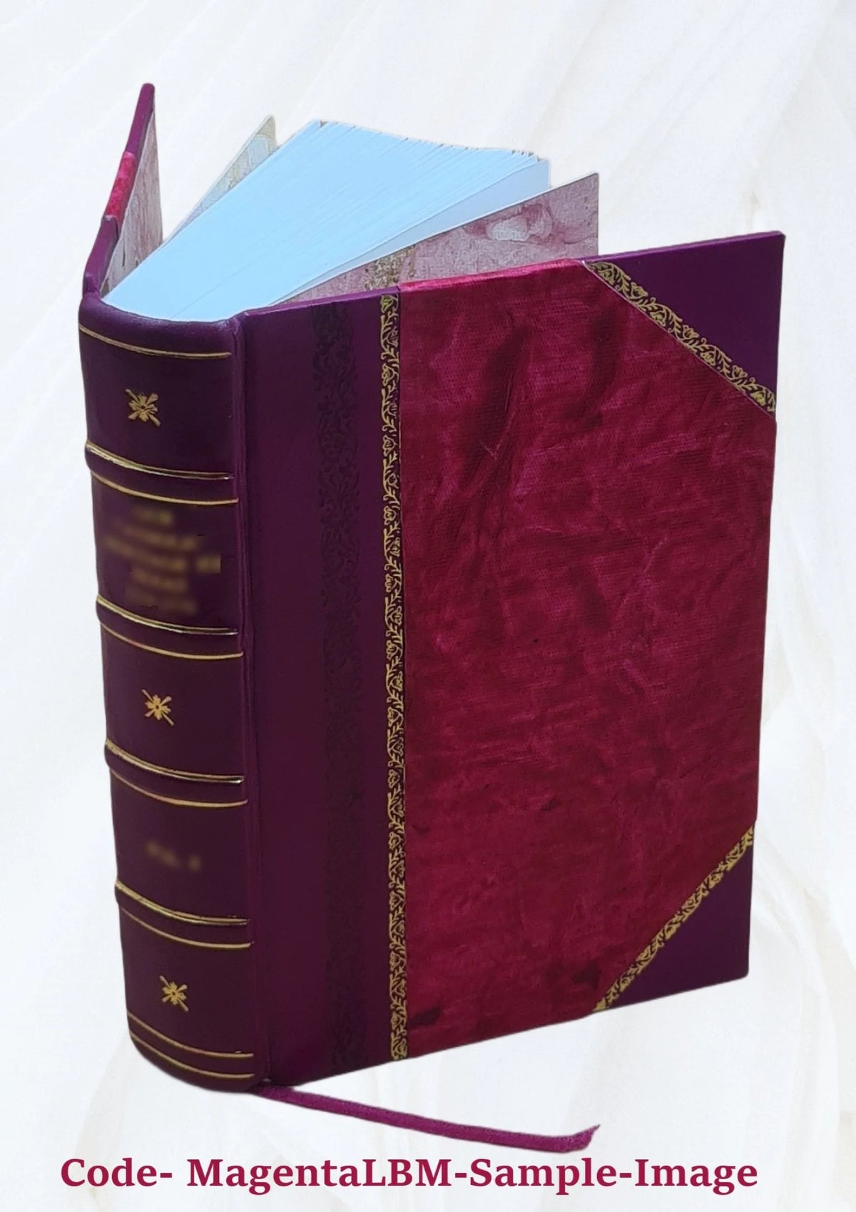 1920 Census Population Schedules Illinois Leather Bound L11260