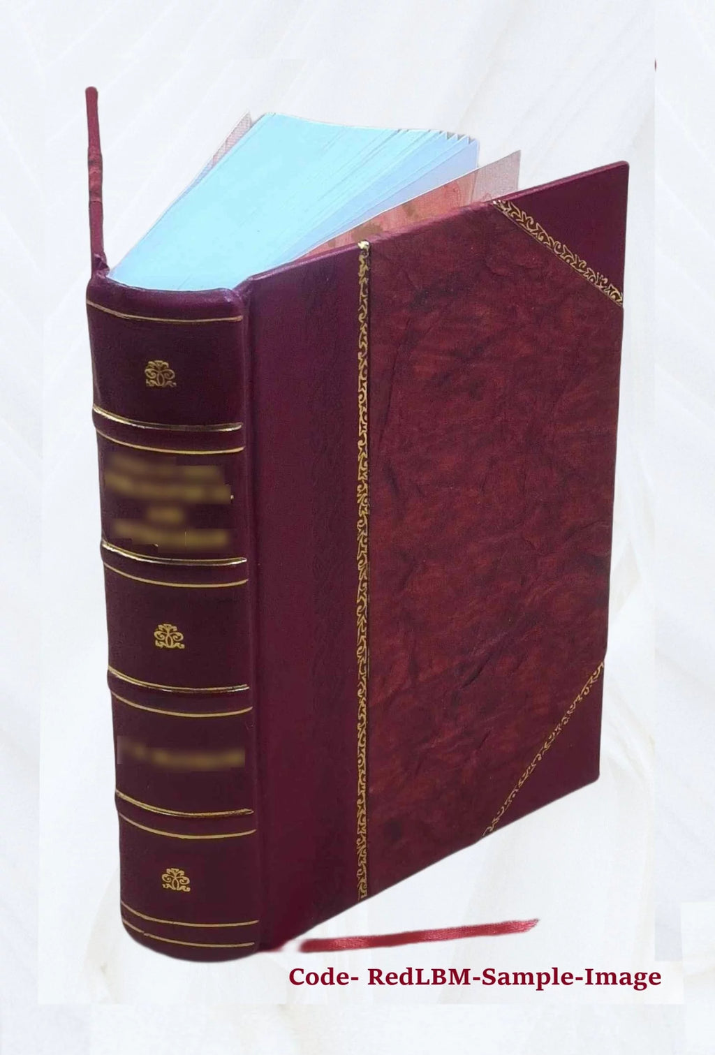 1920 Census Population Schedules Illinois Leather Bound L11260
