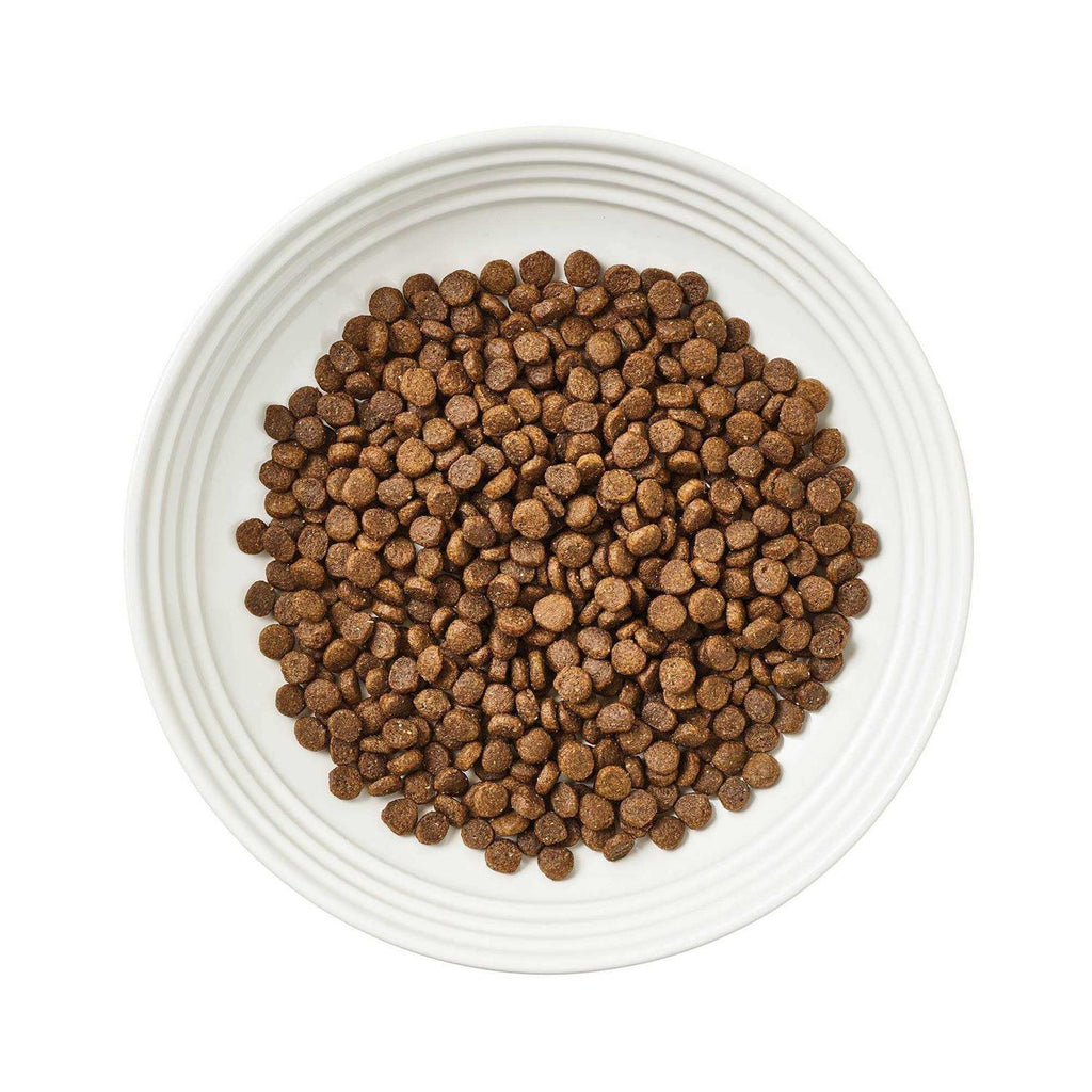 Grain-Free Chicken Recipe Dry Cat Food M7998