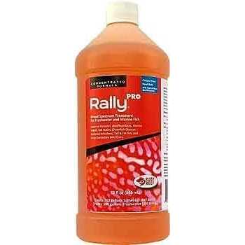 Ruby Reef Kick Ich Pro O906