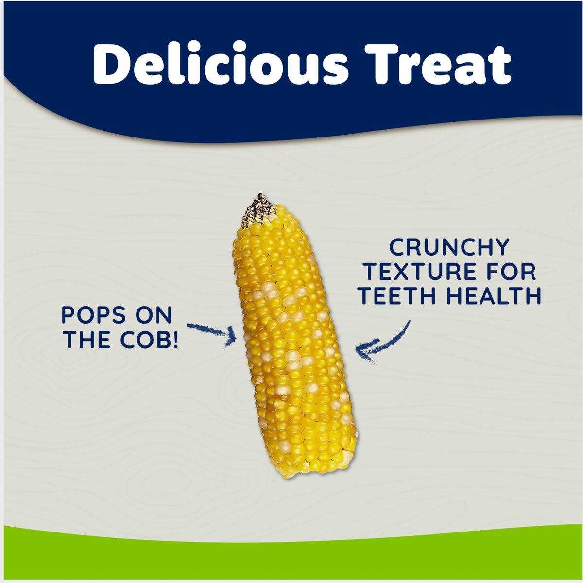 Mini Pop Small Animal Treat I6464