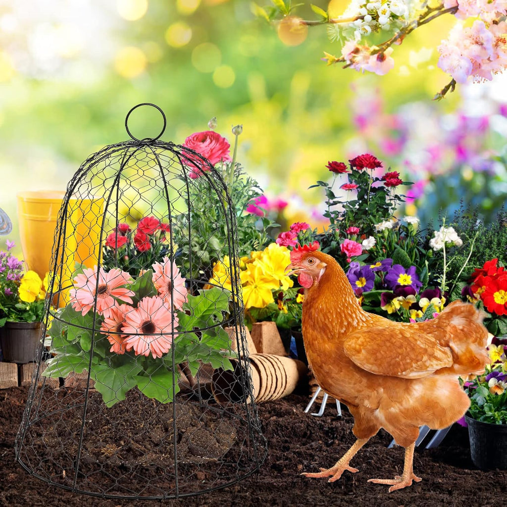 Black Metal Garden Cloche 5 Pack S142707