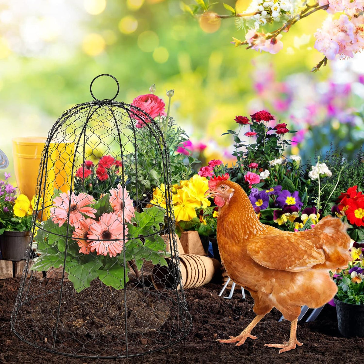 Black Metal Garden Cloche 5 Pack S142707