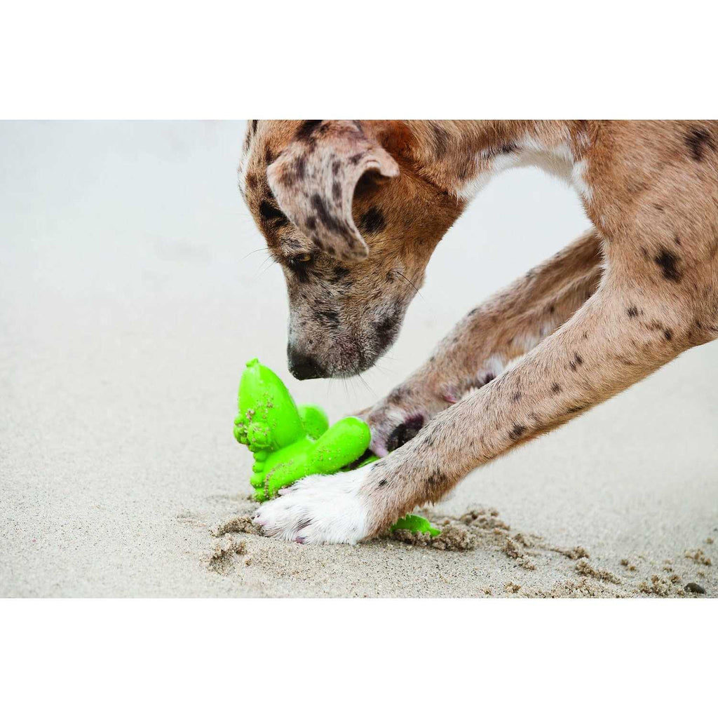 Latex Dog Toy S169829