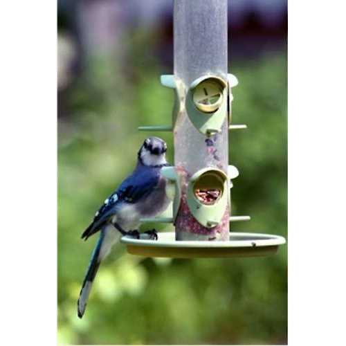 Wild Bird Food D819105