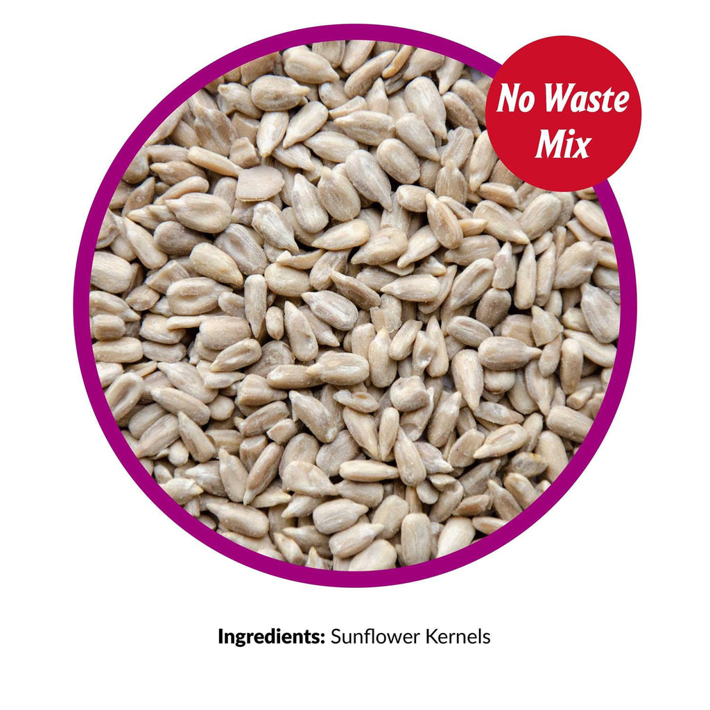 Sunflower Kernels Pet Supplies C3301