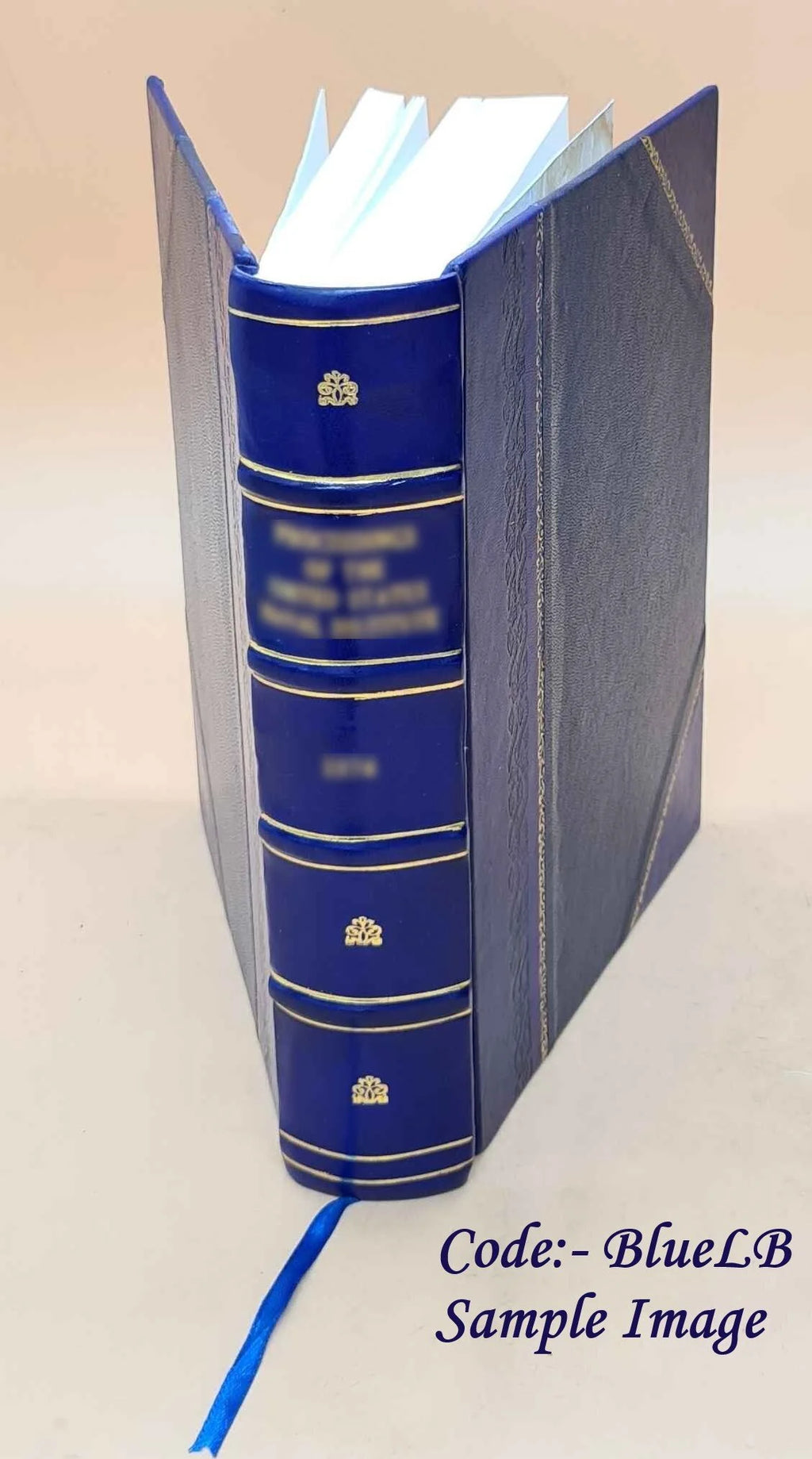 Leather Bound Book U10534