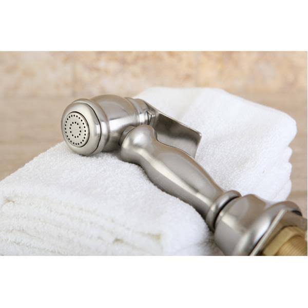 Polished Chrome Kitchen Faucet Sprayer Q66060