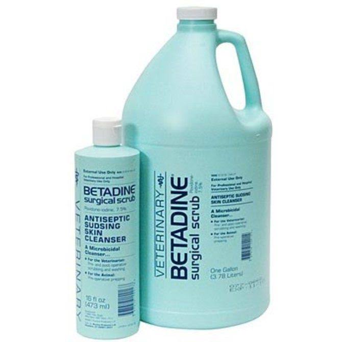 Surgical Scrub 1 Gallon Q594286