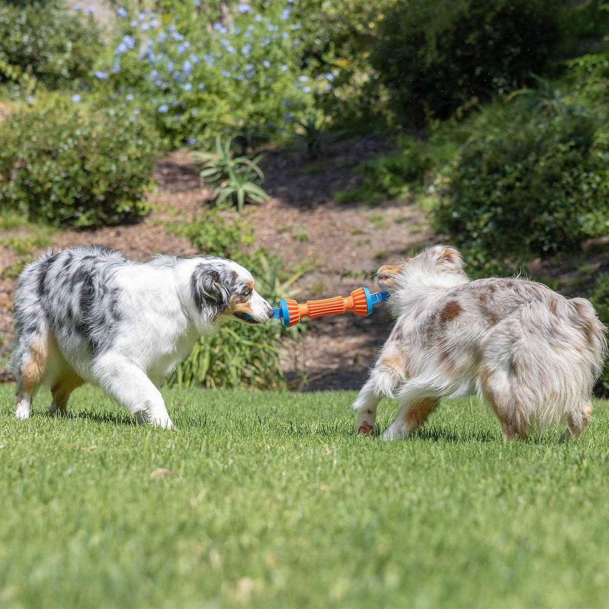 Rugged Bumper Dog Toy J11114