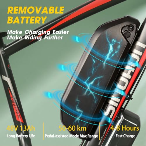 26'' Fat Tire Electric Bicycle with 750W Motor and 48V 13Ah Lithium Battery A439