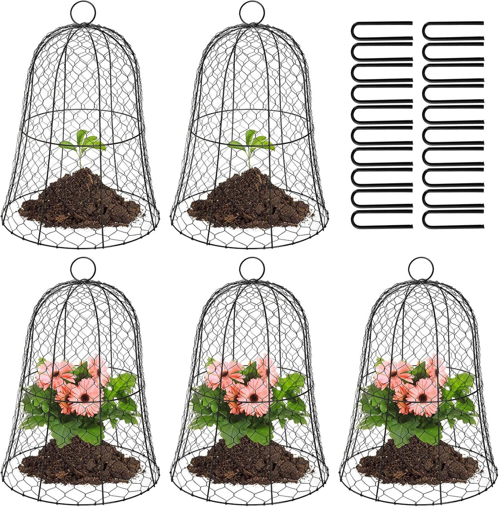 Black Metal Garden Cloche 5 Pack S142707