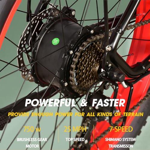 26'' Fat Tire Electric Bicycle with 750W Motor and 48V 13Ah Lithium Battery A439