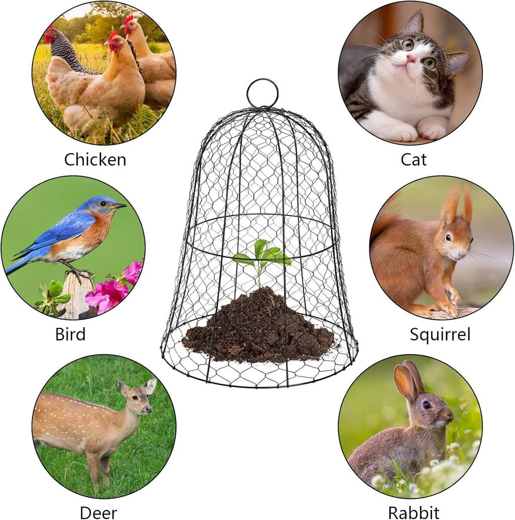 Black Metal Garden Cloche 5 Pack S142707